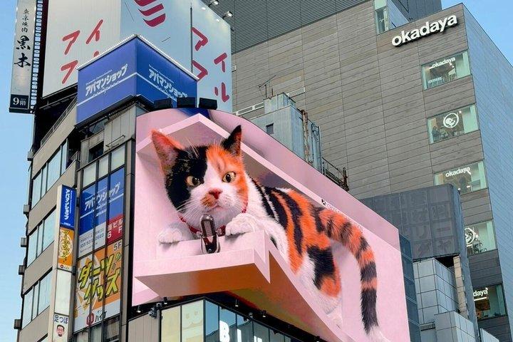 英語を話すドライバー付き東京プライベート日帰りツアー