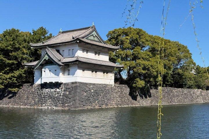 英語を話すドライバー付き東京プライベート日帰りツアー