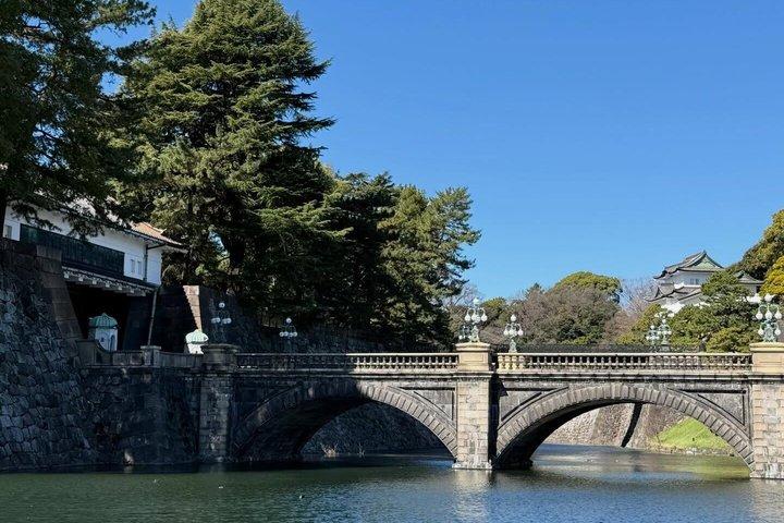 英語を話すドライバー付き東京プライベート日帰りツアー