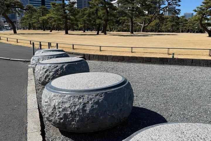 英語を話すドライバー付き東京プライベート日帰りツアー