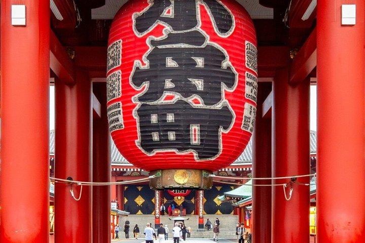 英語を話すドライバー付き東京プライベート日帰りツアー