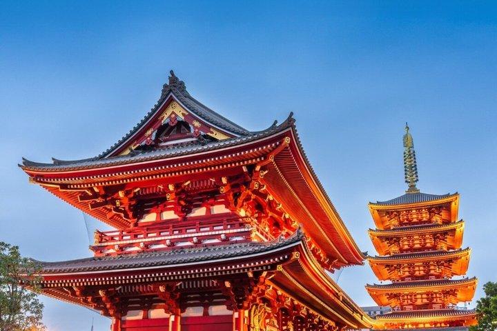 英語を話すドライバー付き東京プライベート日帰りツアー