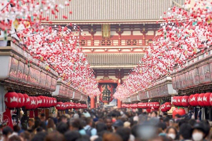 英語を話すドライバー付き東京プライベート日帰りツアー