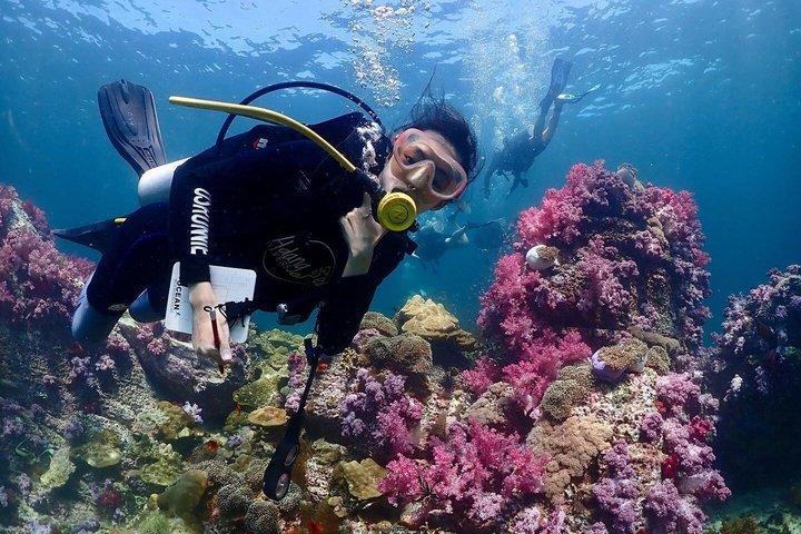 Koh Lipe Try Scuba Diving Experience for Beginners with Lunch