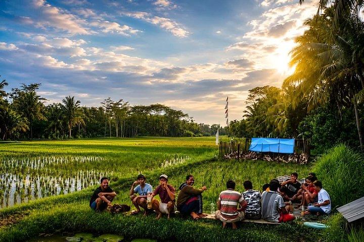 Bali kokosvin og Ubud kaffetur