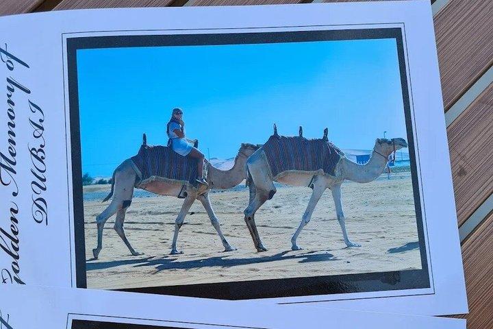 アブダビ乗り継ぎデザートエスケープ：サファリ、ラクダ乗り、BBQディナー
