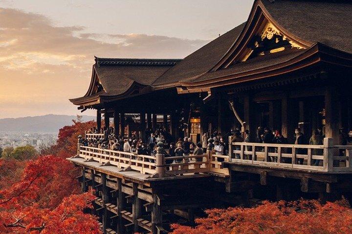 京都マイカーツアー－終日ローカルガイド＆奈良オプション付き