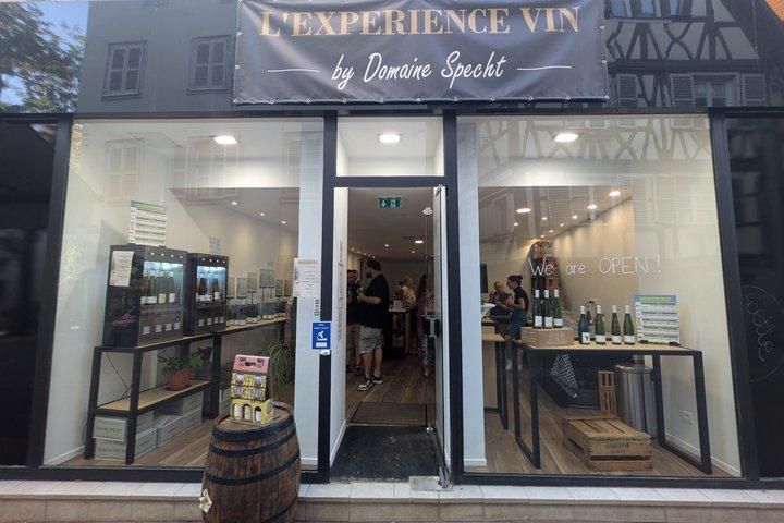 Wine and Cheese Tasting in Colmar - The Terroir Experience