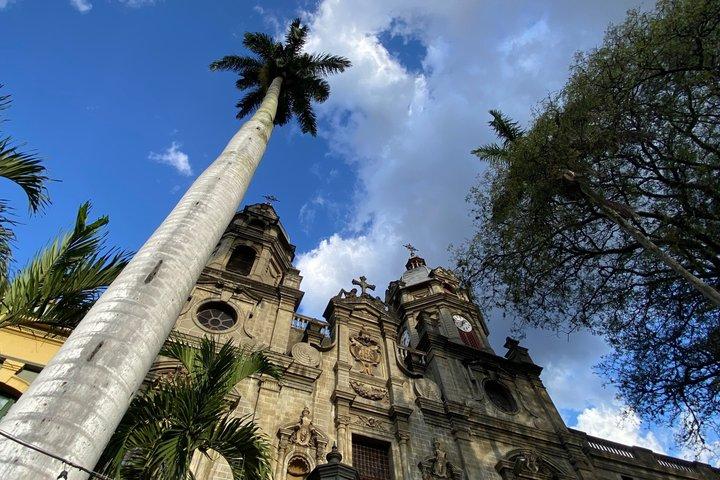 Walking tour, cable car & fruit tasting
