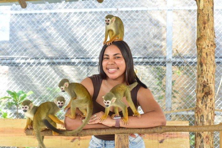 Visite du Monkey Park et des cascades de Damajagua à Puerto Plata.
