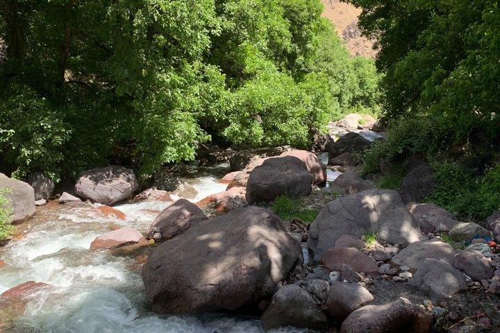 プライベート日帰りツアー：アトラス山脈、イムリル渓谷、滝、ベルベル人の昼食