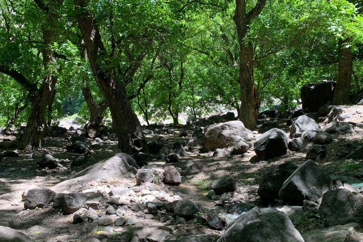 プライベート日帰りツアー：アトラス山脈、イムリル渓谷、滝、ベルベル人の昼食