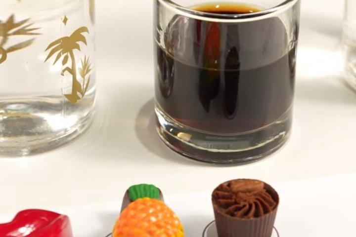 Panama Chocolate Factory Experience and Tasting