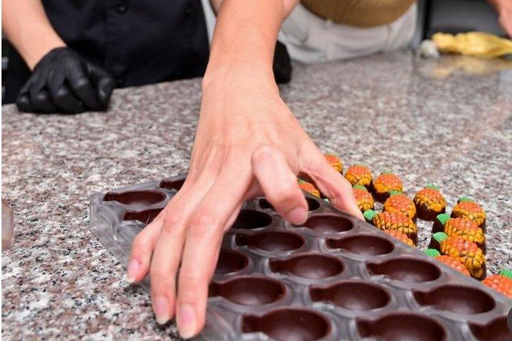 Panama Chocolate Factory Experience and Tasting