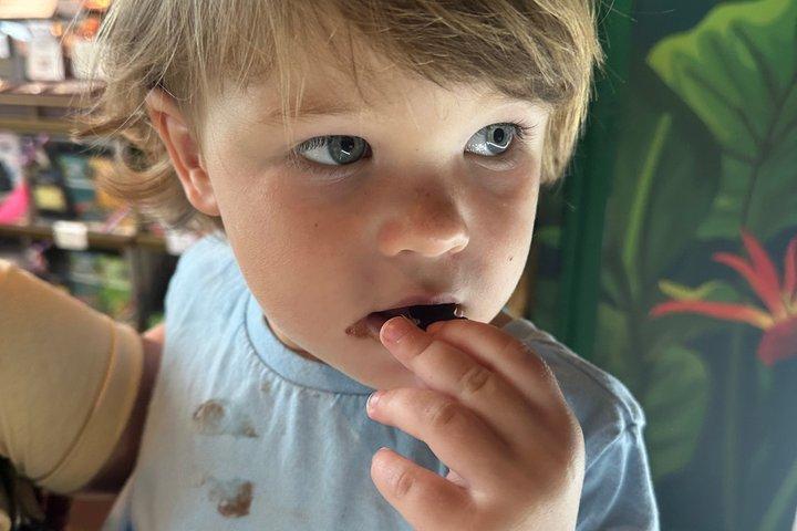 Panama Chocolate Factory Experience and Tasting