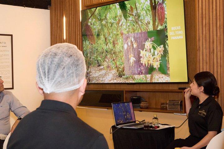 Panama Chocolate Factory Experience and Tasting