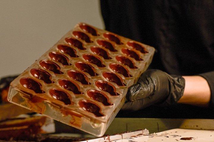 Panama Chocolate Factory Experience and Tasting