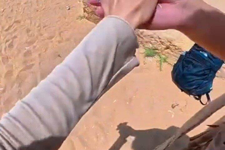 地元民のようにカイロを楽しむ：グルメ、ナイトライフ、個性的な体験