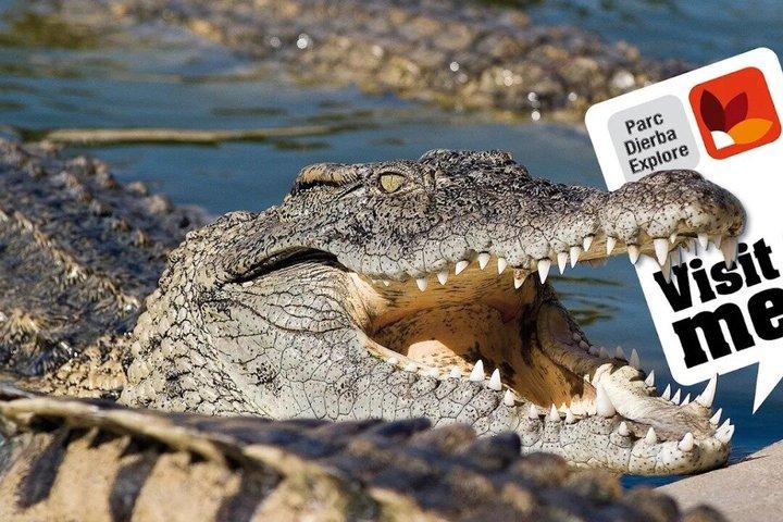 Visit of the Djerba Crocodile Park and Museum