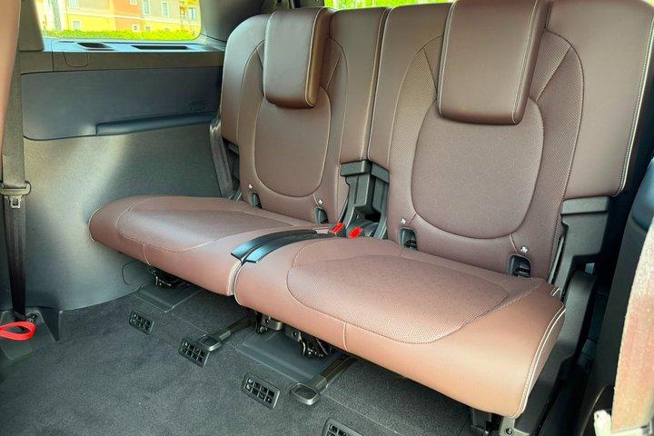 Puerto Rico Inselweite Transfers, VW Buzz Luxus-Minivan.