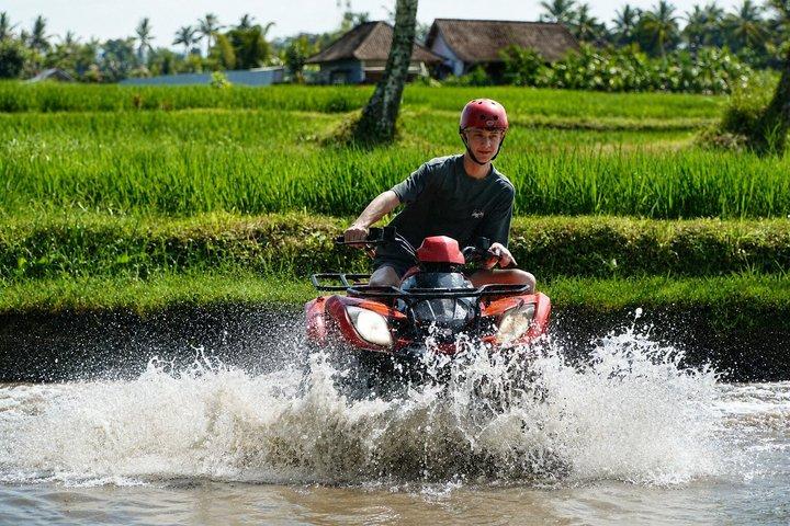 1.5 ore Bali ATV Quad Tour