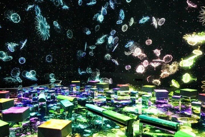 東京1日プライベートウォーキングツアー–完全パーソナライズ