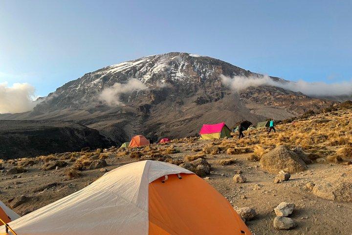 Kilimanjaro Day Hike from Moshi Lemosho and Machame or Marangu