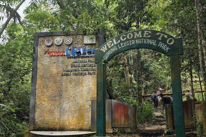 Deep Jungle Orangutan Trek in Bukit Lawang 5 Days Tour