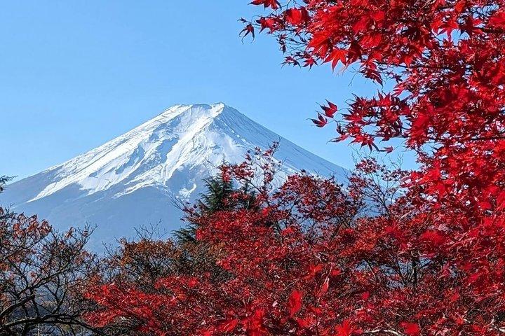 Mount Fuji Private Tour With pick up From Tokyo