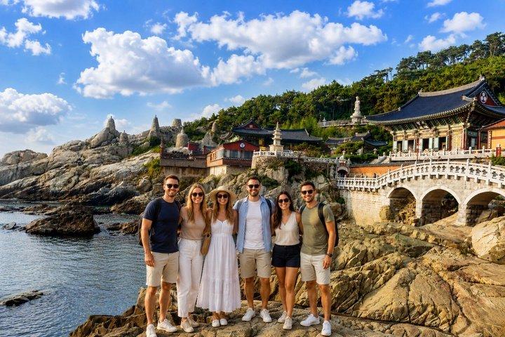 Cruise Layover : Small Group Busan Highlight Day Tour
