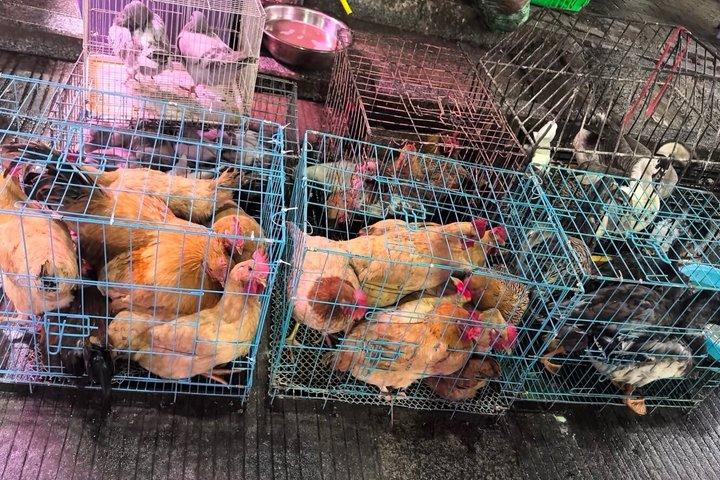 深圳テックツアー スカイラインカフェとスラム訪問