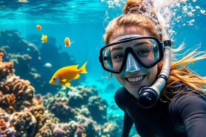 豪華プライベートスピードボートでドルフィンハウスへ| 3つの島々| シュノーケリング