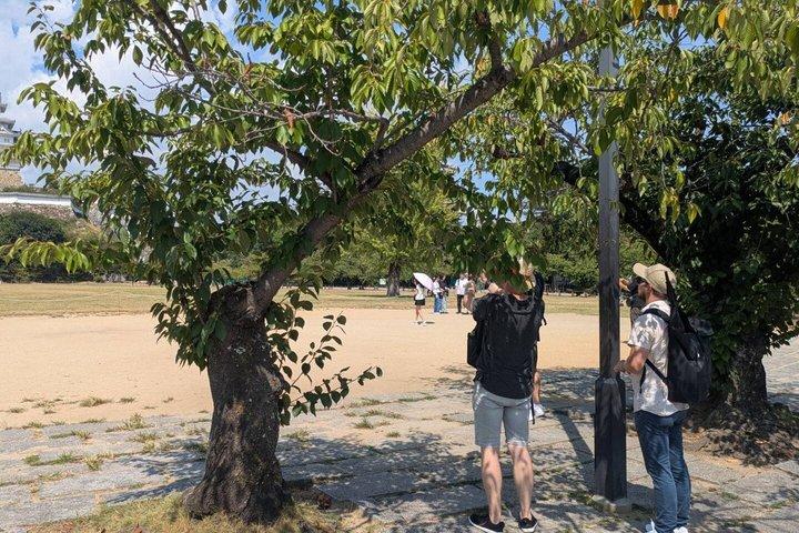 Seværdigheder i Himeji Castle