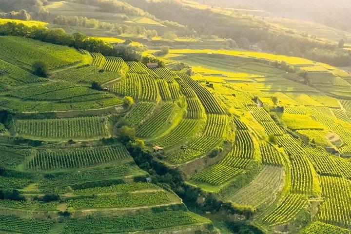 Private Wine and Culture Tour, The Essence of Alsace
