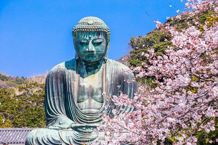 Kamakura Day Trip from Tokyo Great Buddha Shrine and Enoshima