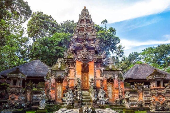 Tour privato a Bali Ubud con Monkey Forest e terrazza di riso
