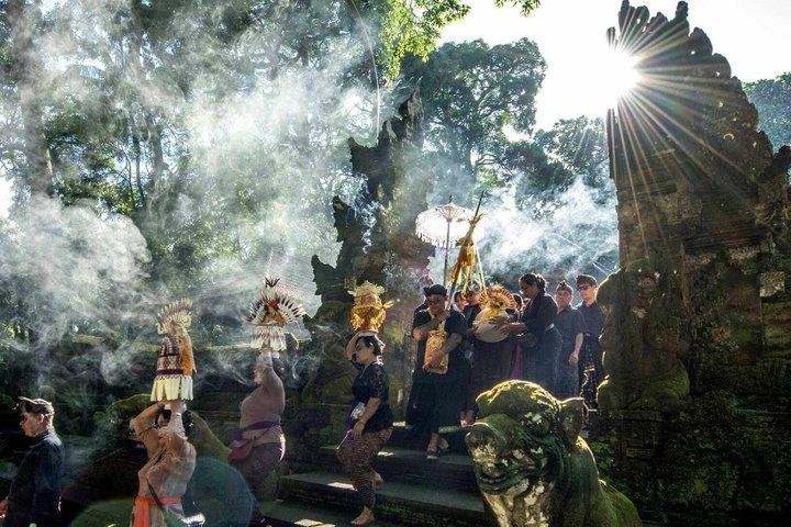 Tour privato a Bali Ubud con Monkey Forest e terrazza di riso