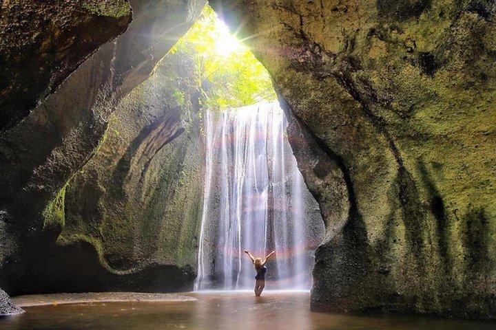 Tour privato a Bali Ubud con Monkey Forest e terrazza di riso