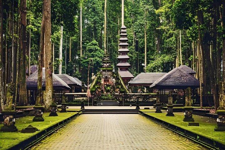 Tour privato a Bali Ubud con Monkey Forest e terrazza di riso