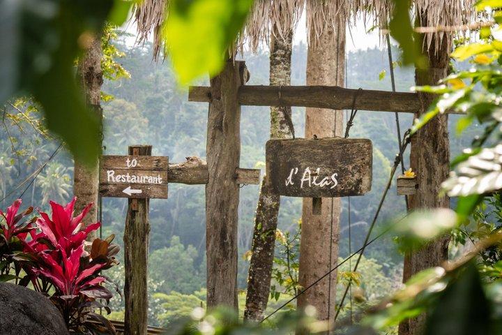 Tour privato a Bali Ubud con Monkey Forest e terrazza di riso