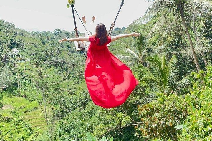Tour privato a Bali Ubud con Monkey Forest e terrazza di riso