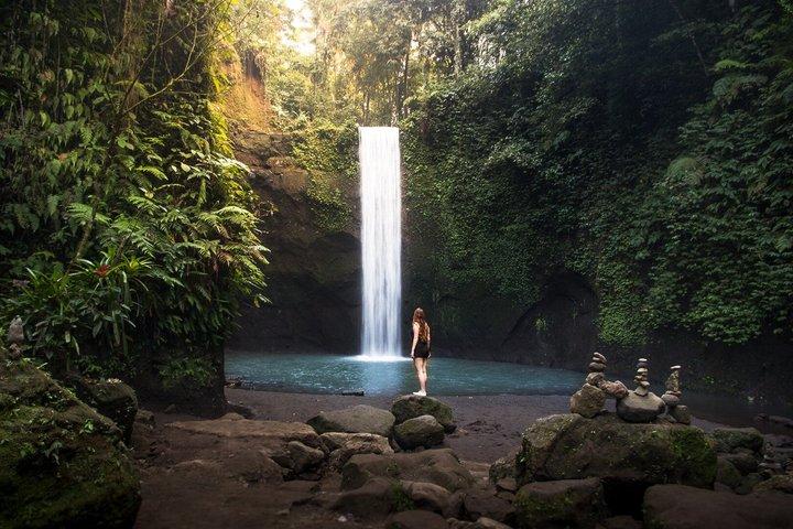 Tour privato a Bali Ubud con Monkey Forest e terrazza di riso
