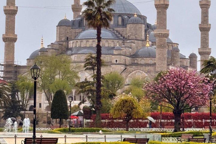 Istanbul Skip the Line Private Tour Best Highlights