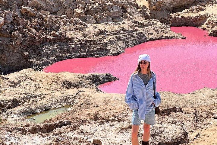 ペトラ、ワディ・ルム、ピンクレイク、塩のビーチ、死海プライベートツアー2日間