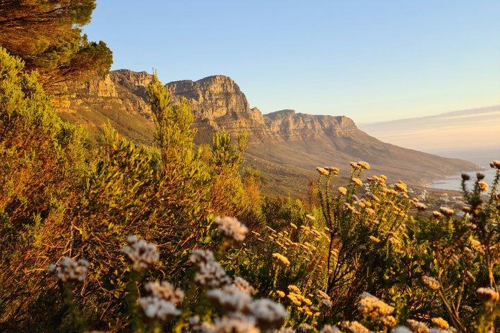 Table Mountain Guided Hike – Safe, Scenic & Tailored to You