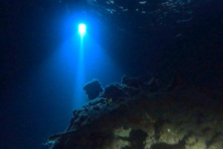 フィルフォスターパークナイトタイムガイド付きシュノーケルツアーウエストパームビーチ