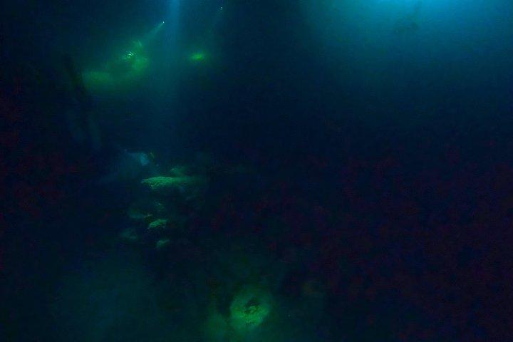 フィルフォスターパークナイトタイムガイド付きシュノーケルツアーウエストパームビーチ