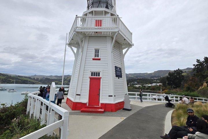 Akaroa Luxury Experience with Alpaca Farm and Dolphin Watching