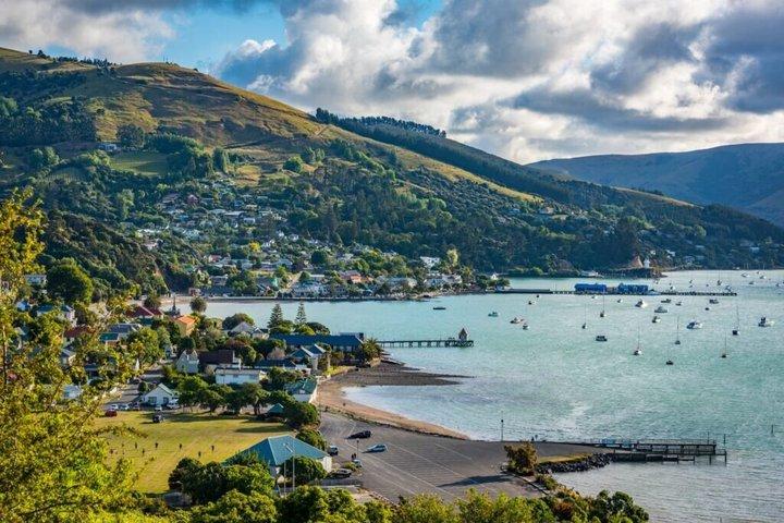 Akaroa Luxury Experience with Alpaca Farm and Dolphin Watching