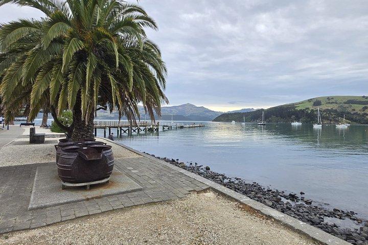 Akaroa Luxury Experience with Alpaca Farm and Dolphin Watching
